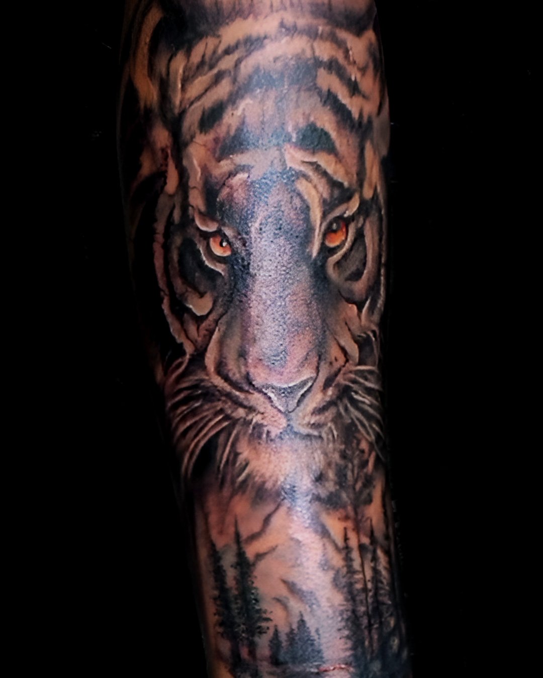 tatuaje--tigre